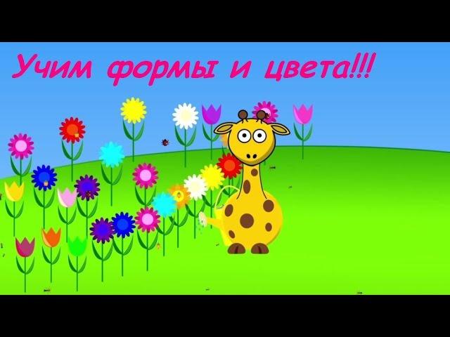 Обучающее видео для малышей. Учим цвета и формы.