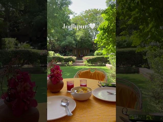 Jodhpur    #travel #jodhpur #rajasthan #jodhpurnews #vibe #viral #trendingshorts