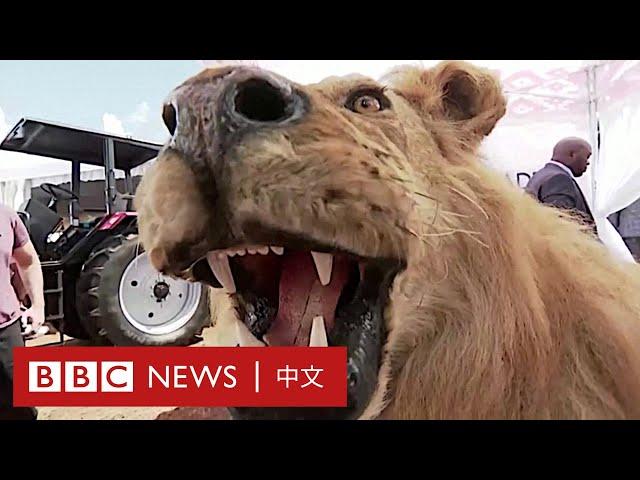 世界領導人互相贈送的「奇葩」禮物－ BBC News 中文