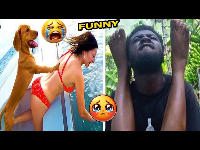 Crazy Funniest Videos Ever In The World | Try Not To Laugh Challenge | Laugh Till You Cry Vol 40