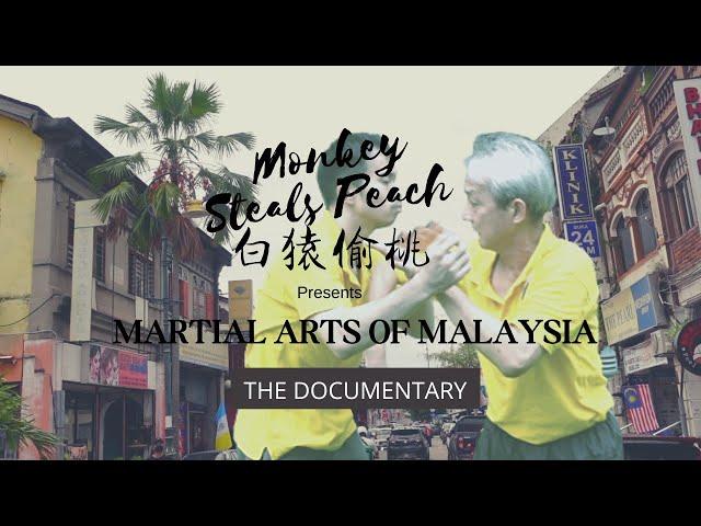 Martial Arts of Malaysia - p1 the Iron Body of Sekkosam Shaolin Kung Fu @tcmaconfederation6779