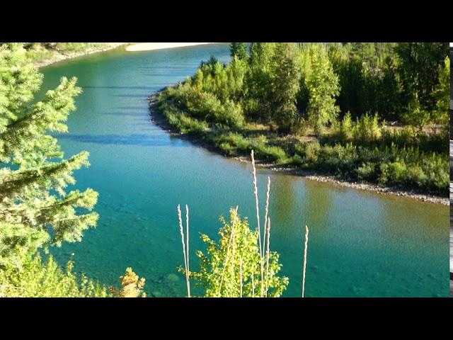 Between West Glacier & Columbia Falls In The Flathead National Forest This Morning