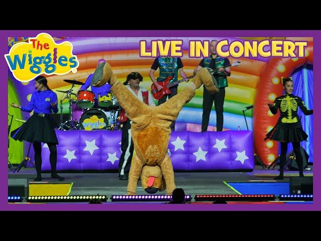 Do the Skeleton Scat!  The Wiggles Live in Concert  Wiggly Big Day Out!  Kids Music