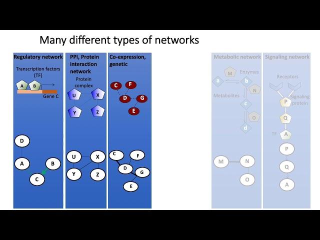 MCB 182 Lecture 11.1 - Introduction to molecular interaction networks