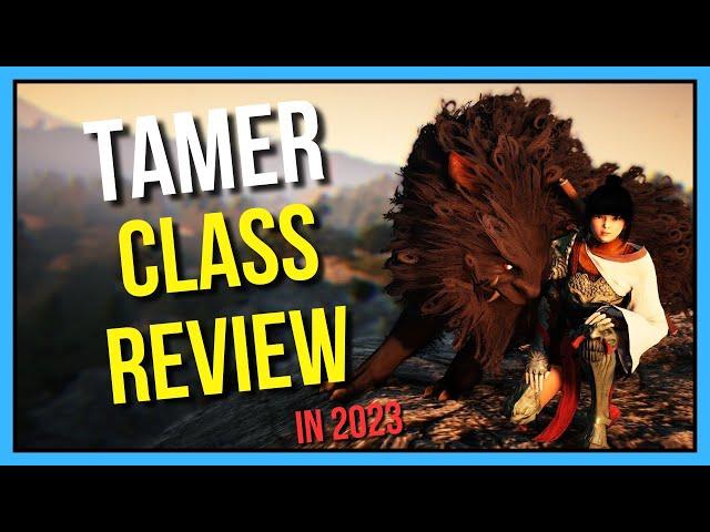 Should You Main Tamer? - Black Desert Online Class Review