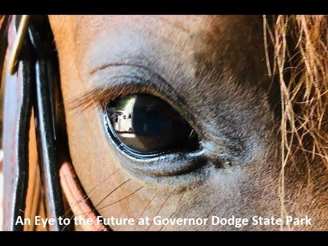 Governor Dodge 100EW November2019