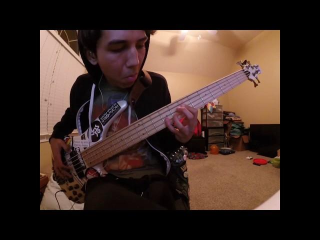 Catch & Release - Silversun Pickups (Electric Bass Cover)