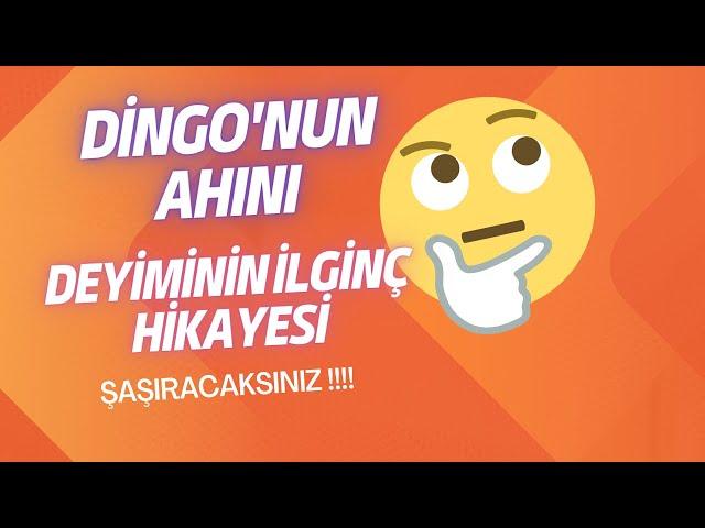 DİNGO' NUN AHIRI | DEYİMİNİN HİKAYESİ | İLGİNÇ | ŞAŞIRACAKSINIZ!