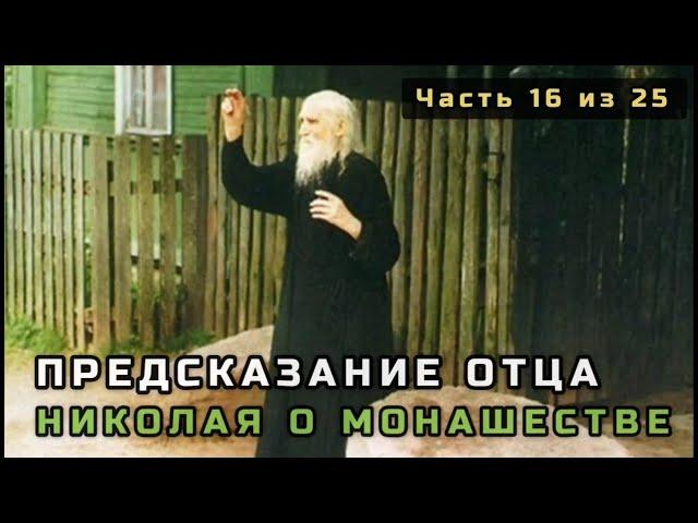 16. Предсказание отца Николая Гурьянова о монашестве. Несвятые святые в цвете. Часть 16 из 25