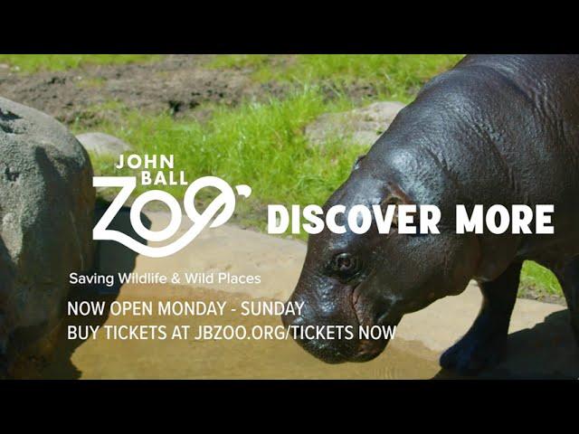 John Ball Zoo is Open for 2025!