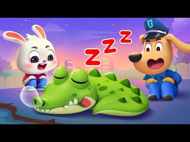 Stay Safe from Wild Animals | Safety Tips | Kids Cartoons | Sheriff Labrador