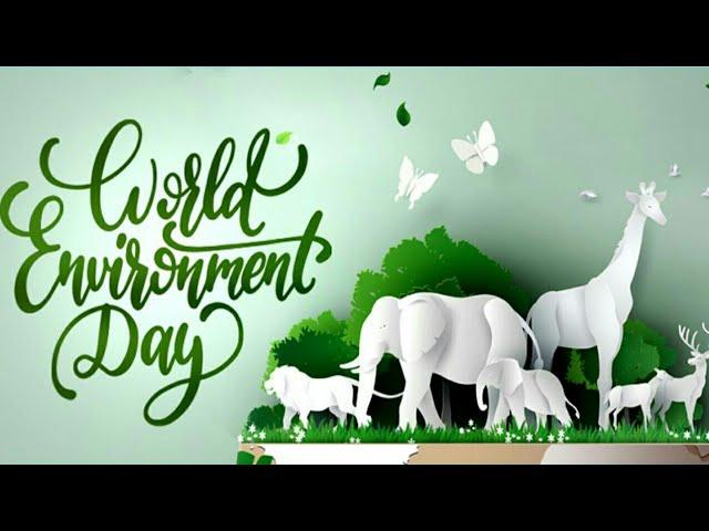 World Environment Day 2020 || Plant for the Planet || Gardening Everyday || Plantalogy