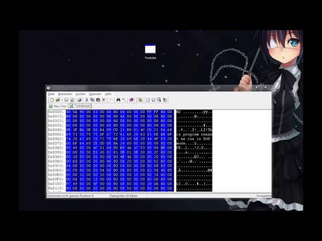 Good #3 How to crack a programm using HEX Editor