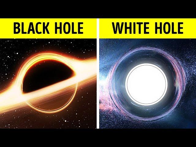 Is There an Opposite of Black Hole?