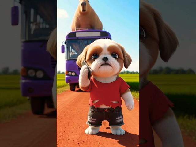 Poor puppy rescues capybara from bus #puppy #rescue #capybara #bus #animals #funny