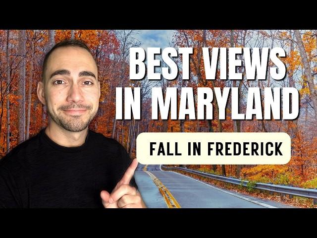 BEST Things to Do in Frederick Maryland this FALL 2024