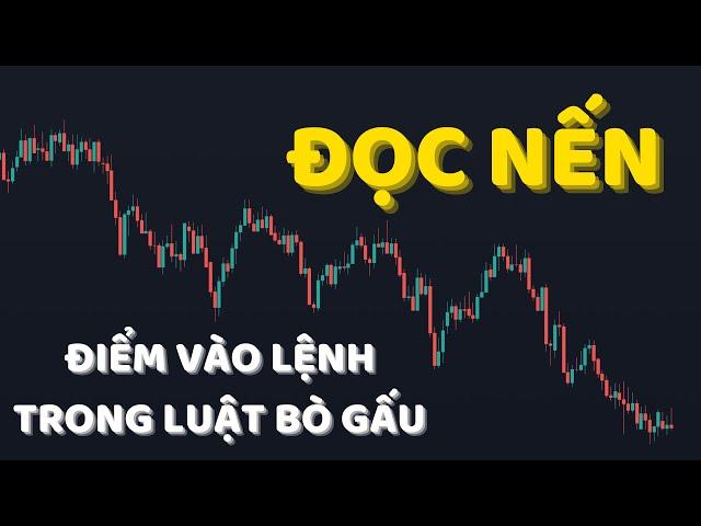 ĐỌC NẾN - Bước Quan Trọng Nhất Để Tìm Điểm Vào Lệnh Trong LUẬT BÒ GẤU