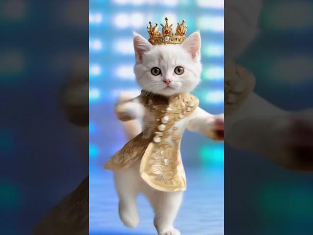 Can’t Stop Watching This Viral Dancing Cat! 