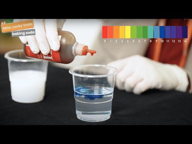 Chemistry Lesson | pH Indicator | Acid & Base Experiment | Science for Kids