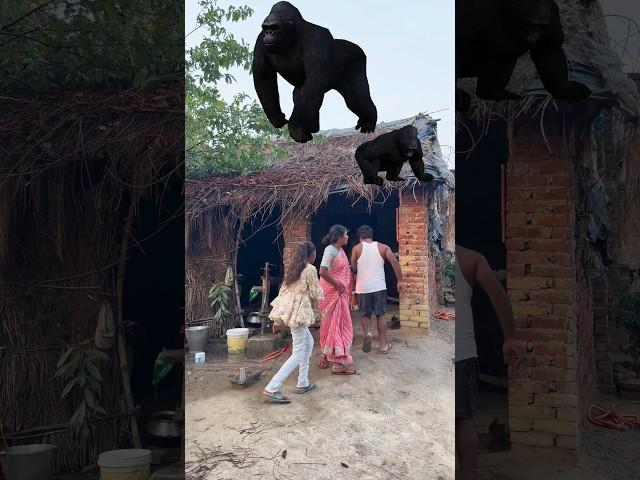 Gorilla came on the roof of our house, the whole house shook!" #reetavlogs #shorts