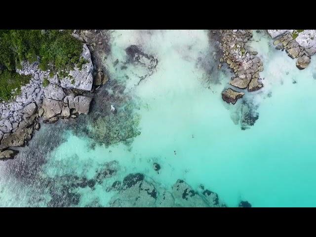 Swimming in Crystal Water | Drone Aerial View | Free stock footage | Free HD Videos - no copyright