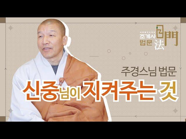 주경스님 법문 #조계사법문 #신중기도입재 #삶이_행복해지는이야기