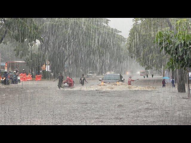 Super heavy rain flooded my village | rain ambience | Sleep instantly with the sound of heavy rain