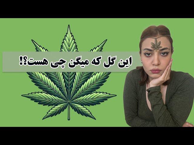 کانابیس | ماری جوانا | وید | گل | علف | گرس | سیگاری | شاهدانه