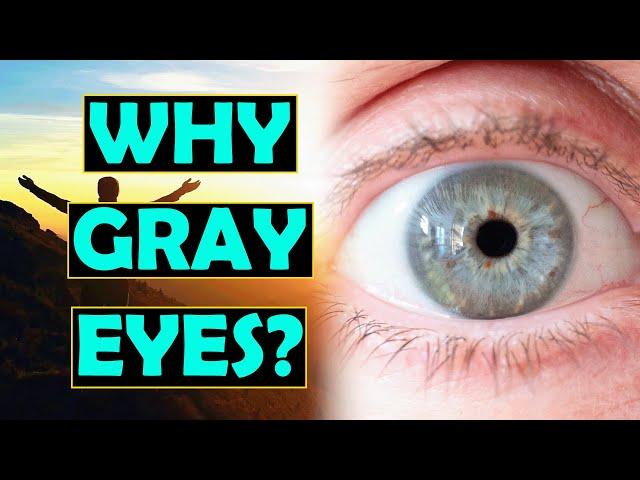 What is the Origin and Reason for Gray Eyes?