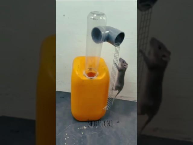 Best Mouse trap tips at home/ The idea of making a seesaw catching and locking #rat #shortzone | rat
