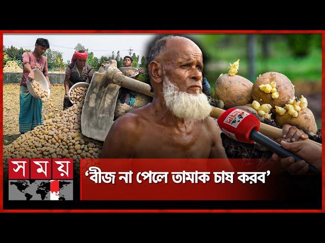 বীজ আলুর ঘাটতি, কৃষকের পকেট কাটছে সিন্ডিকেট | Potato Price | Syndicate | Seed Potatoes | Somoy TV