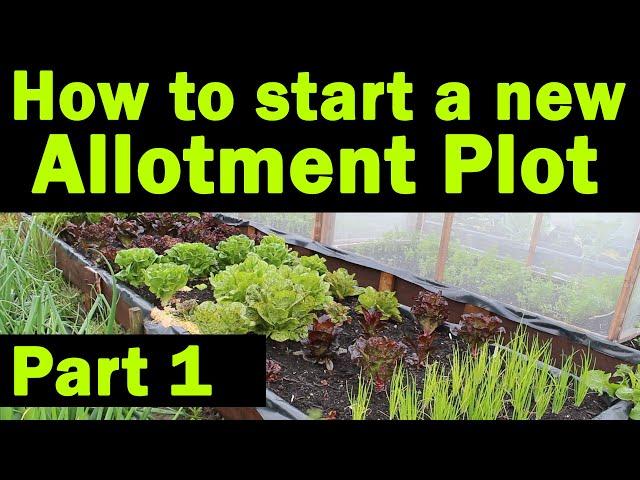 Start a new Allotment Plot | Where to start | Allotment Garden | Things you need to know | Part1