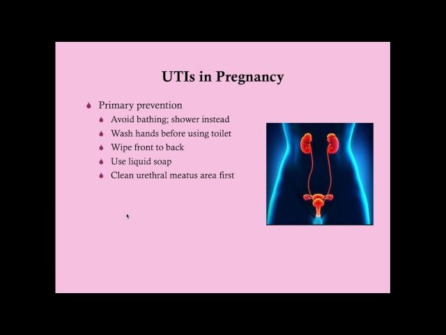 UTI in Pregnancy - CRASH! Medical Review Series