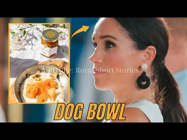 Even My Dog Eats Better! Meghan Markle MOCKED for Serving Apricot Spread in Dog Bowl