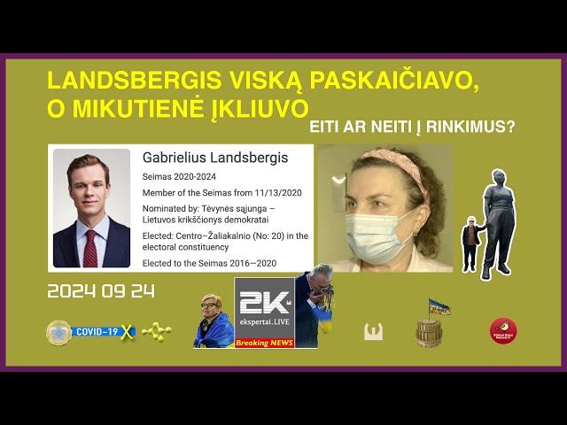 Landsbergis paviešino paveiksliuką