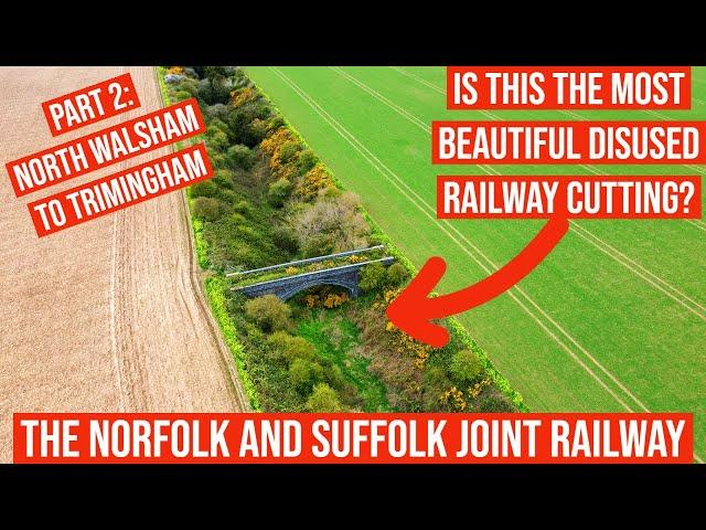 Does Norfolk have the Most Beautiful Disused Railway Cutting in the UK?         #norfolk #railway