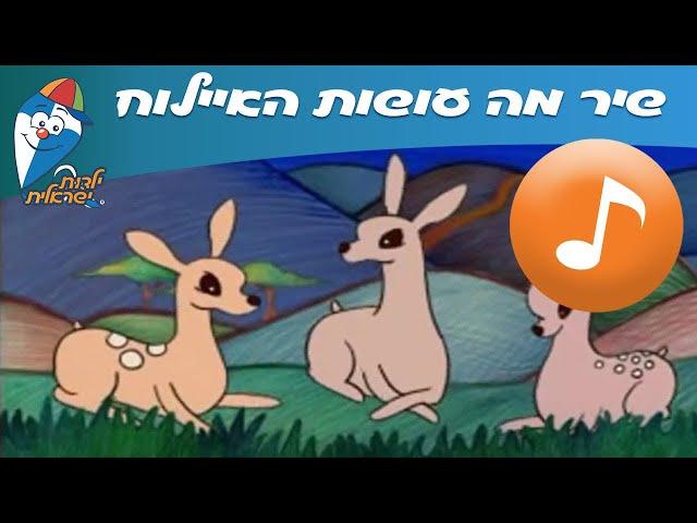 מה עושות האיילות - שיר לילדים ופעוטות-  שירי ילדות ישראלית