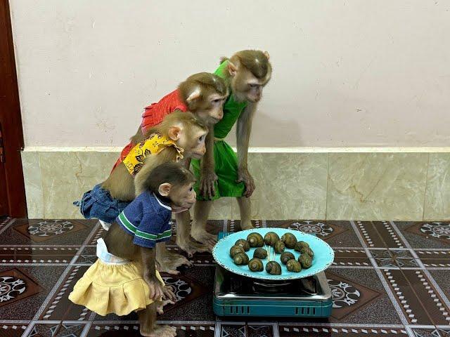 4 Siblings Standing Up Very Curious & Mannerly Waiting Mom To Come & Cook Dinner Treat For Them ,