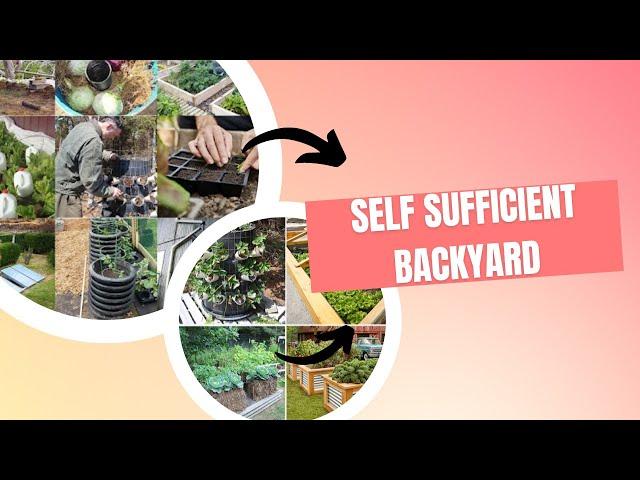 New:Self sufficient backyard 🪴Self sufficient backyard book review🪴