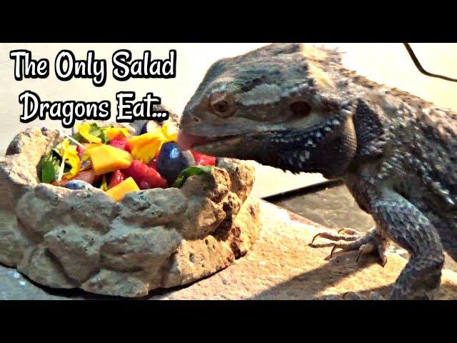 Salads That Beardies Will Actually Eat (w/Elle's Reptiles)