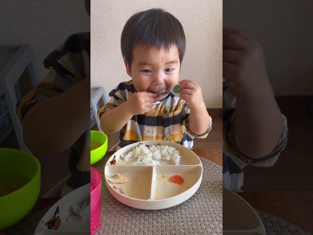 2歳1ヶ月boyのお昼ご飯の様子お皿からどんどんおかずだけが消えていく、、、