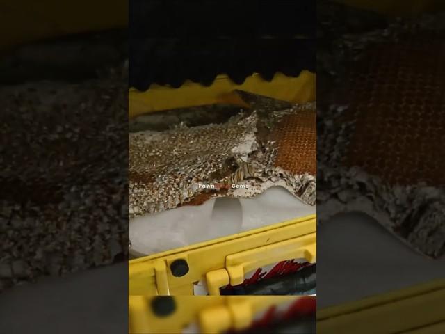 A piece of the iconic Heat Shield from the Apollo 11 Space Capsule? | Pawn Stars