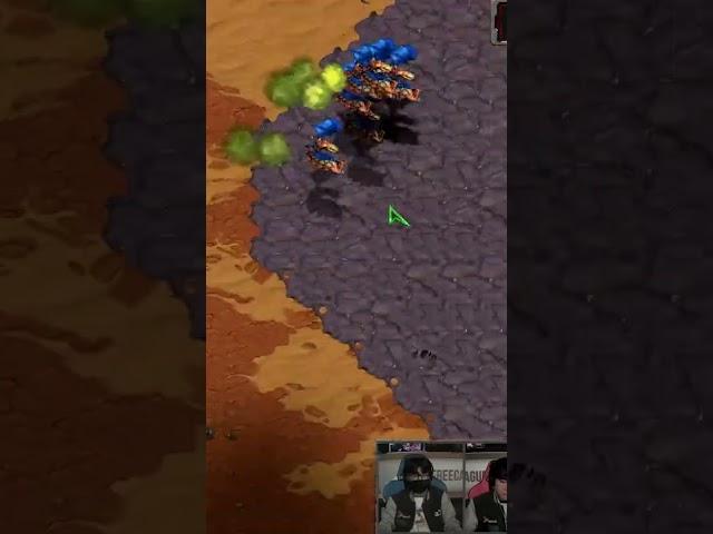 [캐치] 비기(秘技) '빈집 털기'