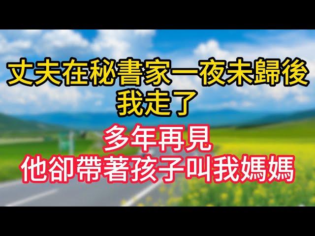 【完結】丈夫在秘書家一夜未歸後我走了，多年再見，他卻帶著孩子叫我媽媽？#故事#言情小說#一口氣看完#爽文