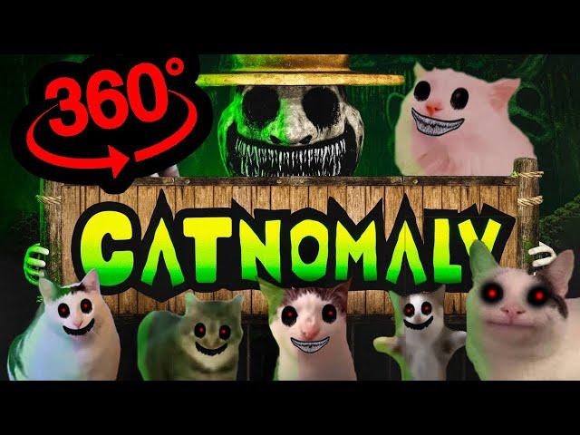 360 VR CATNOMALY