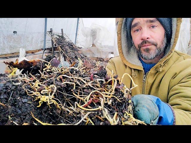Chicken Compost System - Winter Testing