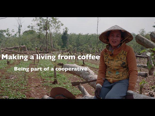 Making a living from coffee: Being part of a cooperative
