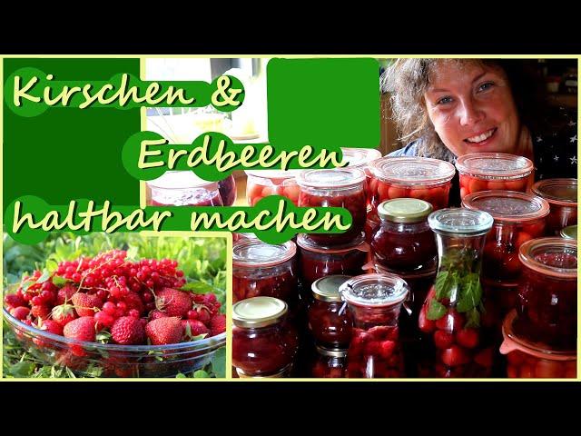 Riesen Kirsch- und Erdbeerernte Konfitüte und Kompott Garten im Juni/Juli