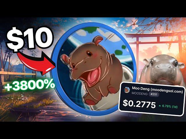  BUY 10,000 MOODENG *BEFORE IT'S TOO LATE!!!* (Price Prediction + Analysis) #moodeng