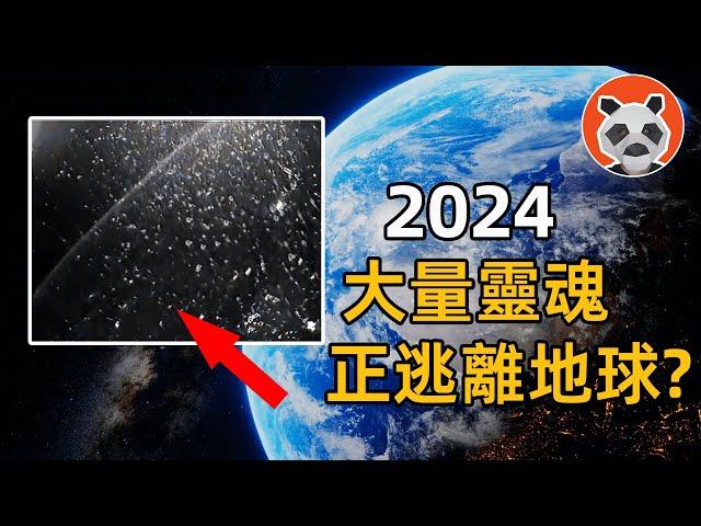 2024 大量靈魂逃離地球？矩陣失效？有大事發生？【熊貓周周】